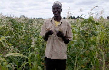 Food_Solutions_Kenya-360x230