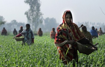 Livelihoods_Bangladesh-360x230